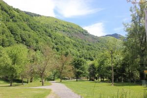 80 emplacements délimités, ombrages et plats