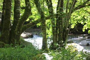 Au Parc National des Pyrénées… Venez découvrir le charme de la haute vallée d’Aspe, à travers le village d’Urdos.