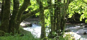 Venez découvrir le charme de la haute vallée d'Aspe, à travers le village d'Urdos.